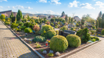 Friedhof St. Martinus 180803_8477__r_woehrmann__850px.jpg