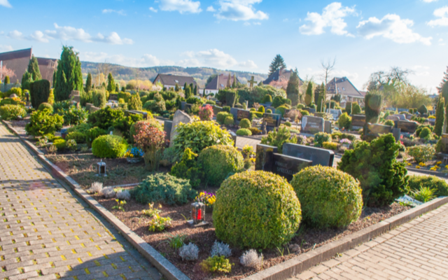 Friedhof St. Martinus 180803_8477__r_woehrmann__850px.jpg