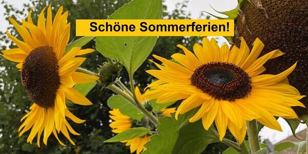 Sonnenblumen_Gemeinde Hagen aTW_TOP News_Sommerferien