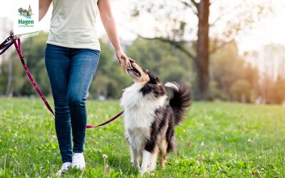 Brut- uns Setzzeit - Gemeinde Hagen a.T.W. Brut- uns Setzzeit