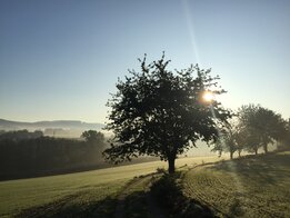 Herbststimmung in Hagen aTW 2